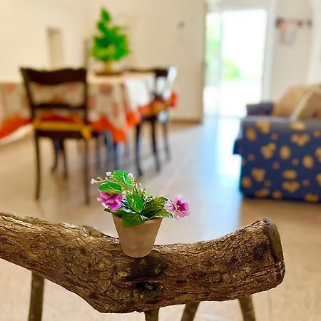 Vakantiehuis Casa Veronica *