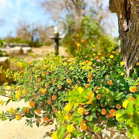 Casa Veronica Ferienhaus *