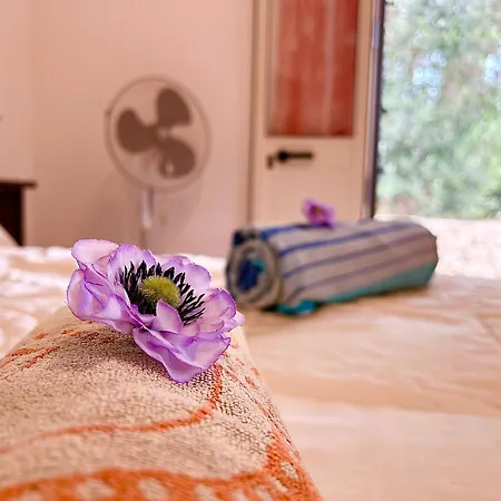 Casa Veronica Torre Vado